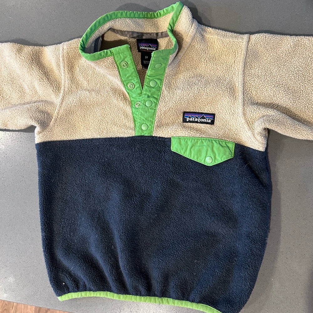 Patagonia Micro D Snap-T pullover